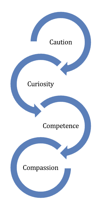 The 4C's of AI Resilience: Caution, Curiosity, Competence, and Compassion